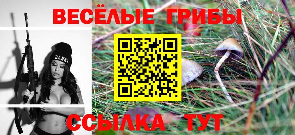 Галлюциногенные грибы мицелий  купить наркотики цена  Чистополь  Вход с VPN 